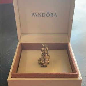 Pandora charm